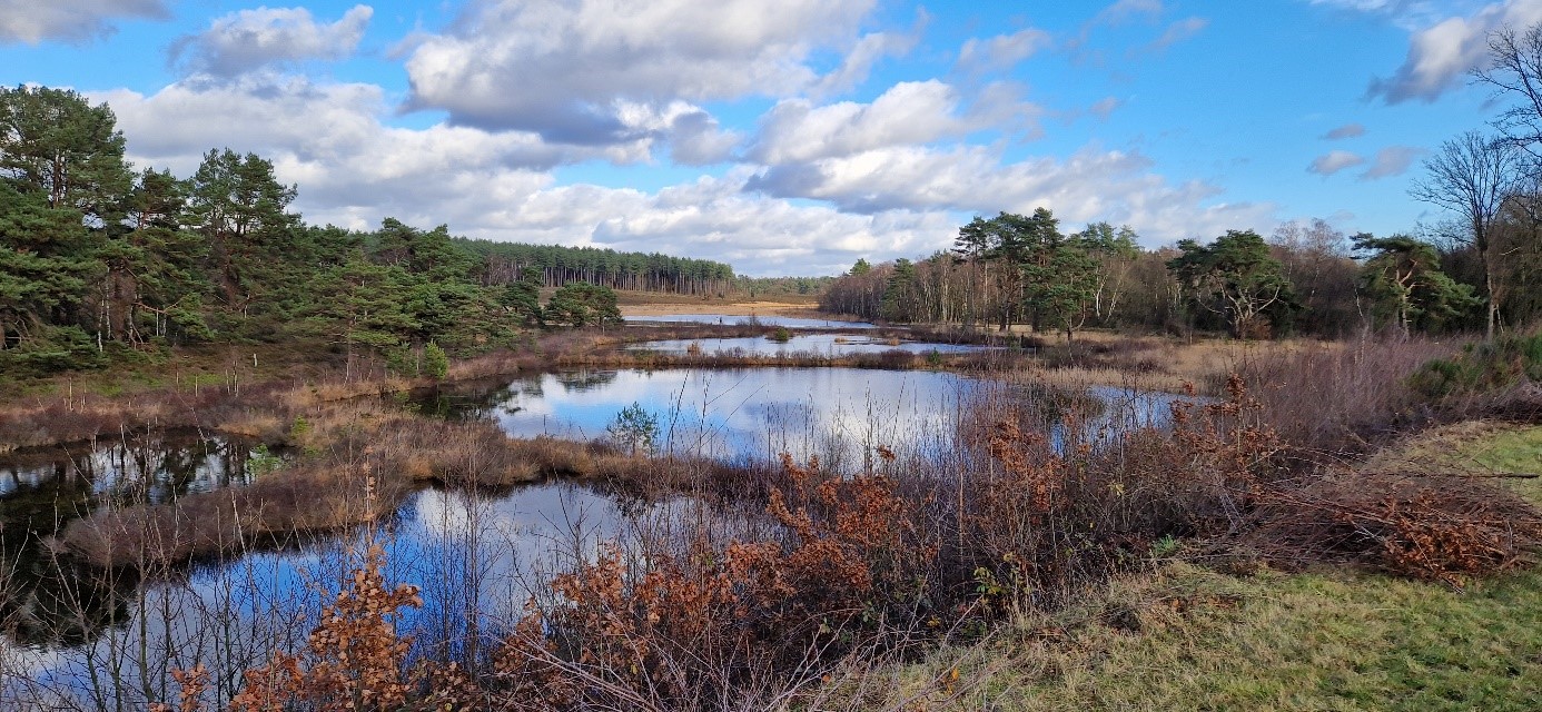 Zonhoven_2