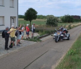 diest 15