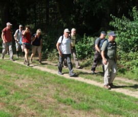 tt zon 10 aangepast groot